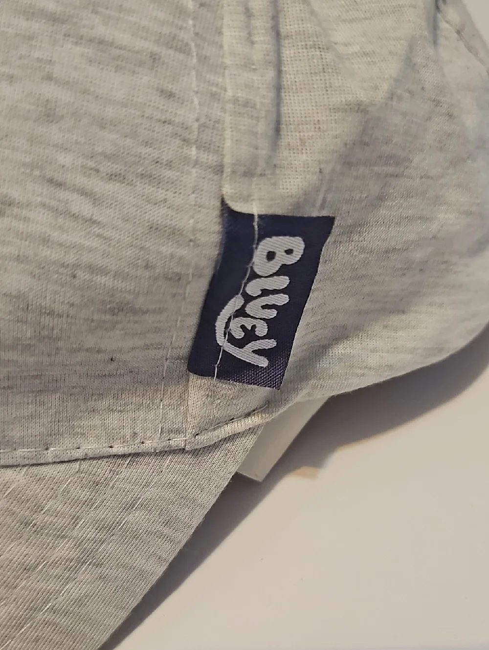 Bluey this new